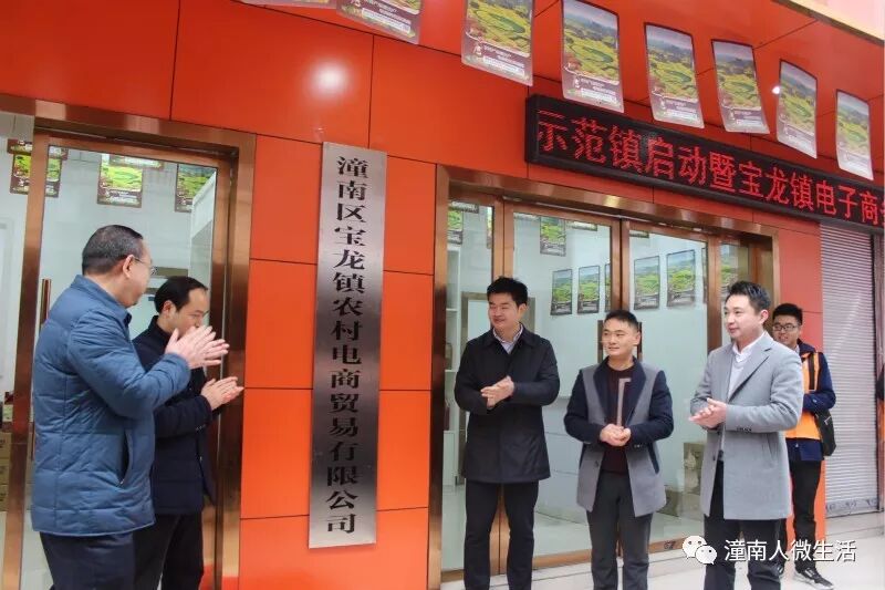 市级电子商务示范镇_宝龙镇电子商务综合服务站_农产品电子商务示范镇