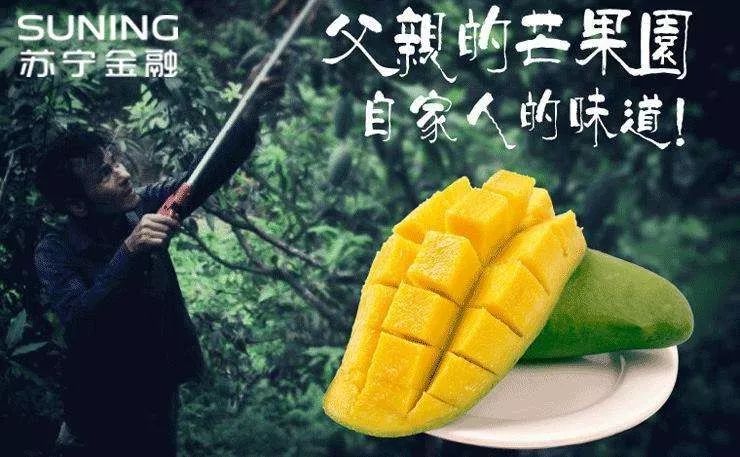 农业众筹模式_农产品预售众筹_农产品众筹模式