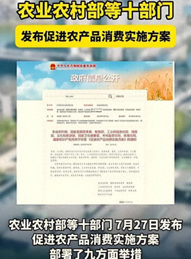 9月新规落地！三证一报告卡脖子，中小主播如何应对？