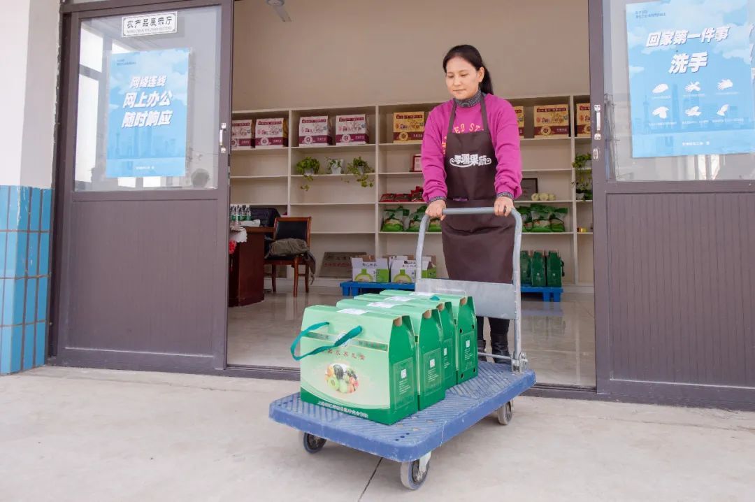 浦东农产品追溯网_浦东新区食用农产品合格证_食用农产品质量安全承诺证