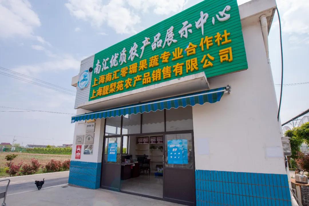 食用农产品合格证 浦东新区食用农产品合格证制度 浦东新区农产品追溯系统_浦东农产品追溯网