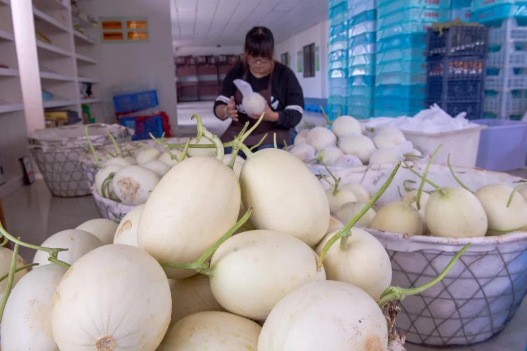 浦东农产品追溯网_食用农产品合格证 浦东新区食用农产品合格证制度 浦东新区农产品追溯系统
