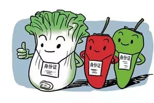 农产品质量安全追溯_绿色食品有机农产品地理标志农产品追溯管理_农产品溯源定义