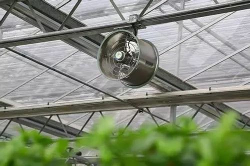 农产品质量安全追溯_农产品溯源定义_绿色食品有机农产品地理标志农产品追溯管理
