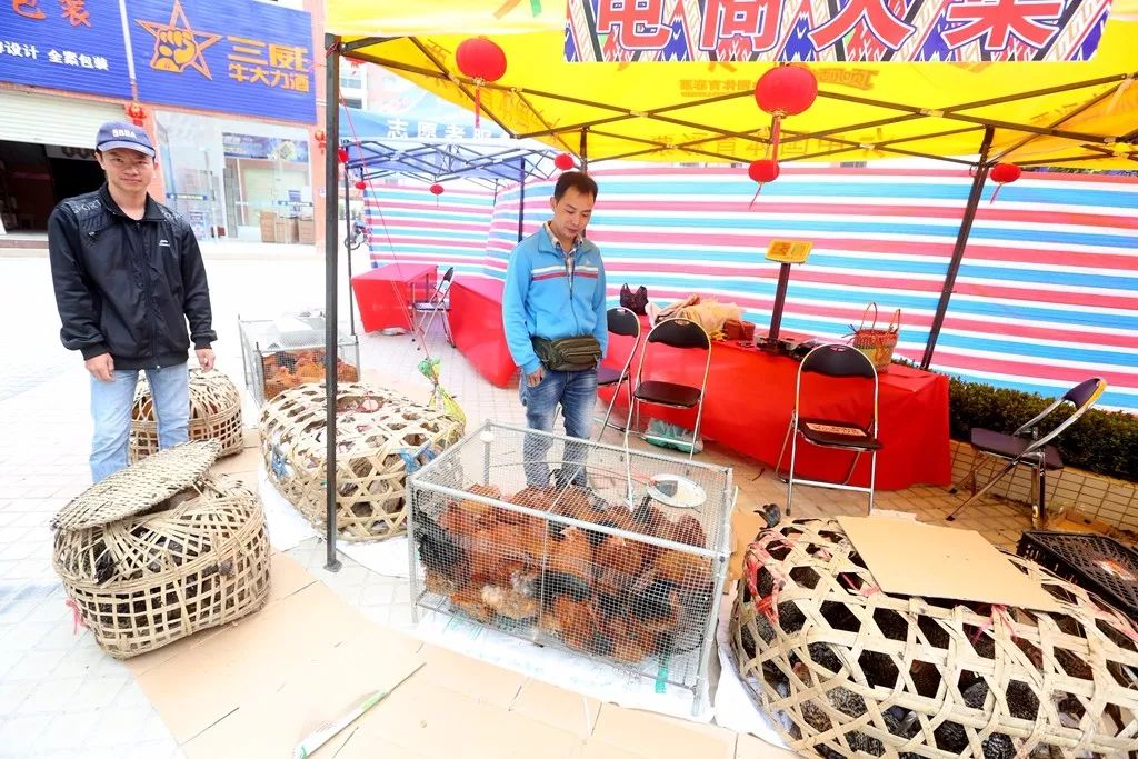 白沙电商年货节_我为家乡农产品代言_白沙农产品直销店