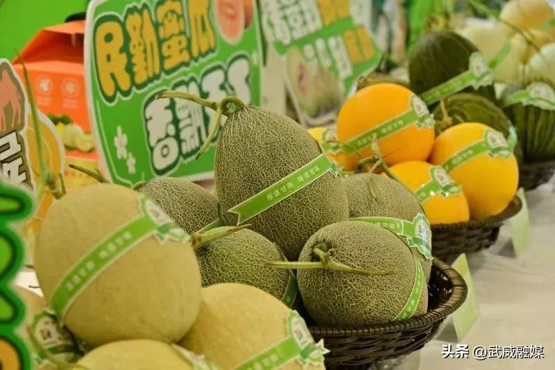 民勤蜜瓜推介会_民勤特色农产品北京发布_新发地武威农产品批发市场
