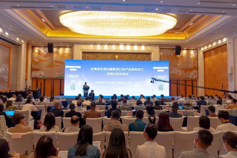 云南农产品初加工_云南农产品精深加工中心_云南进口农产品落地加工