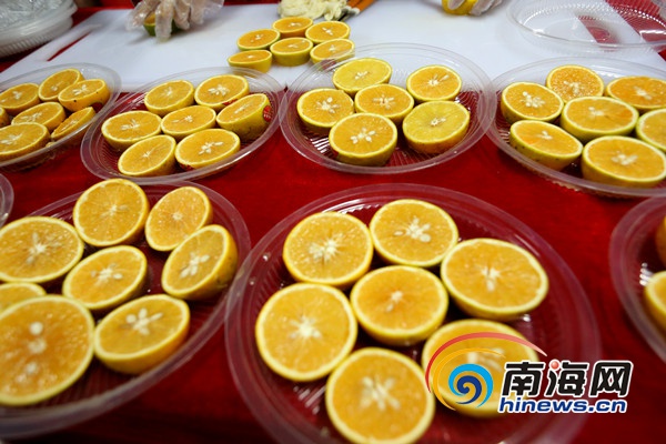 白沙农产品品鉴会_白沙农产品直销店_中国青年电商助力脱贫攻坚论坛