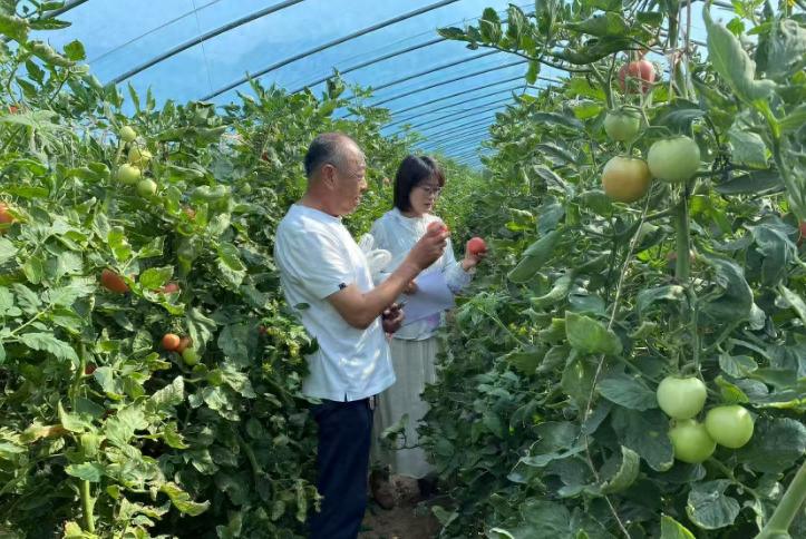 彬州市农产品质量安全检测行动_城关街道食用农产品达标合格证制度_农产品质量安全检测工作