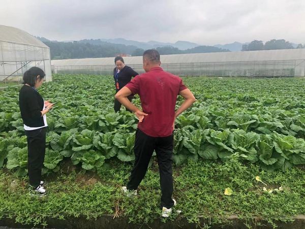 习水产投集团帮扶农户解决滞销问题_农产品滞销帮扶平台_习水产投集团农产品销售平台