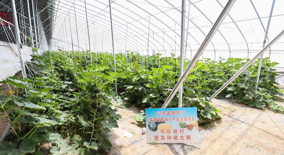 乡村治理人才短缺问题如何破解_破解乡村治理人才难题_农产品滞销 物流人才培养