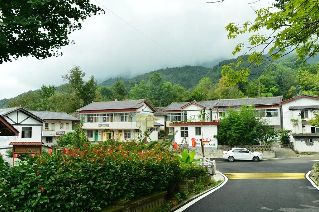 康县乡村振兴 美丽乡村建设 陇南康县全域旅游_康县农产品流通网