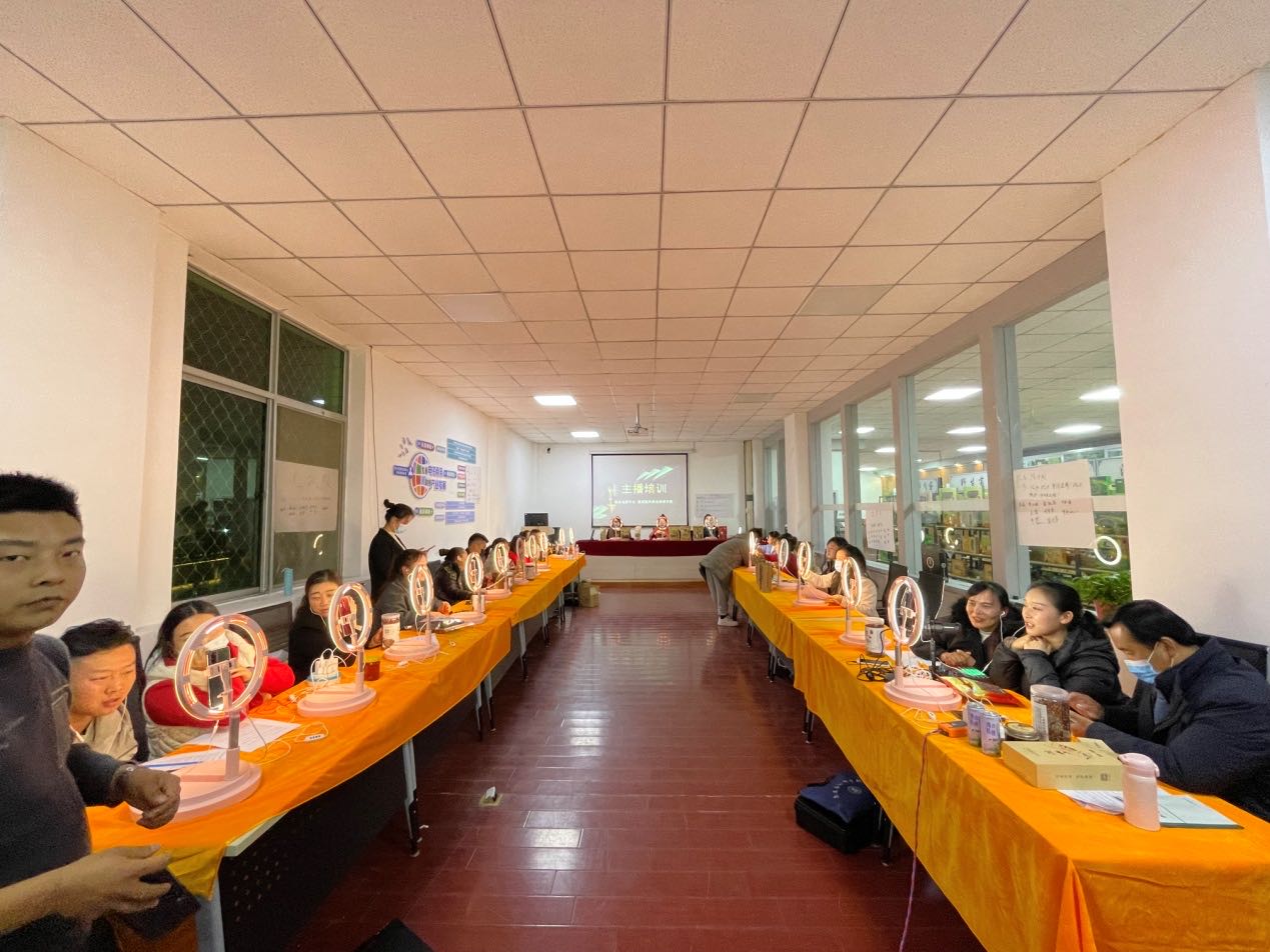 康县电商直播培训_流量成为新农资_康县农产品流通网