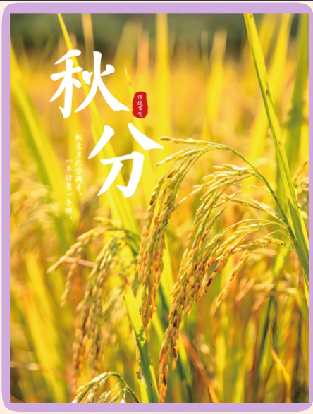 2025年最农产品滞销_2025年秋分中国农民丰收节极端气候农业抗灾能力政策支持农业结构优化丰收节消费提振农产品上行农耕文化传承