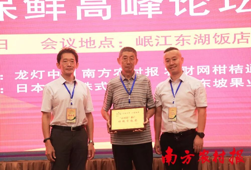 柑橘留树保鲜方案_柑橘防腐保鲜技术_2025年最农产品滞销