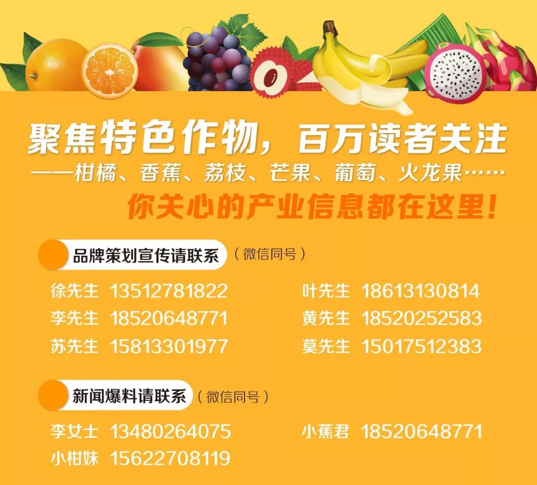 2025年最农产品滞销_柑橘防腐保鲜技术_柑橘留树保鲜方案