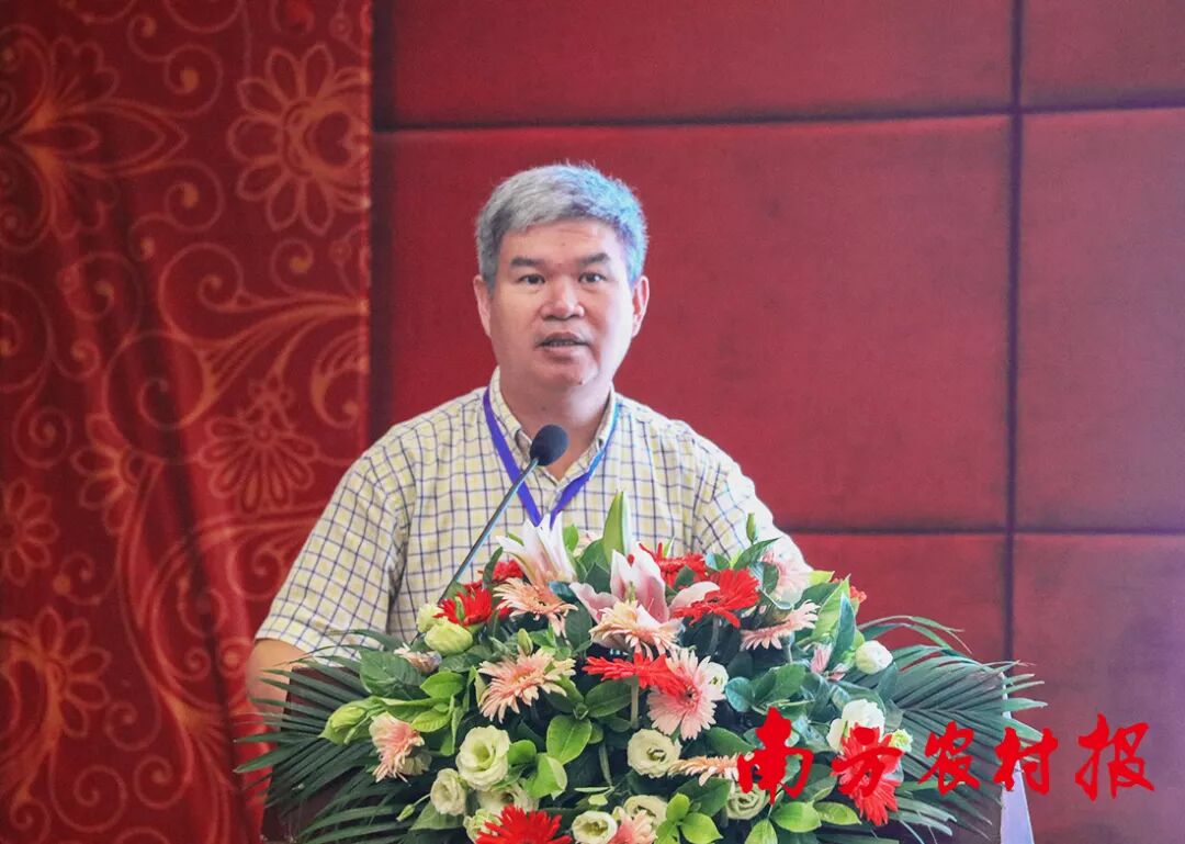 柑橘留树保鲜方案_柑橘防腐保鲜技术_2025年最农产品滞销