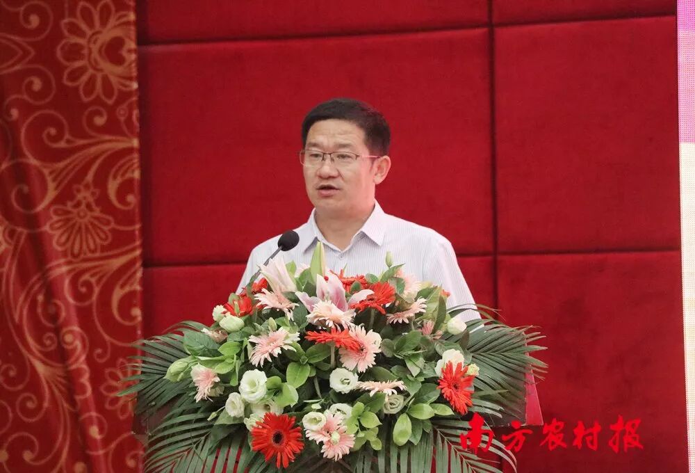 2025年最农产品滞销_柑橘留树保鲜方案_柑橘防腐保鲜技术