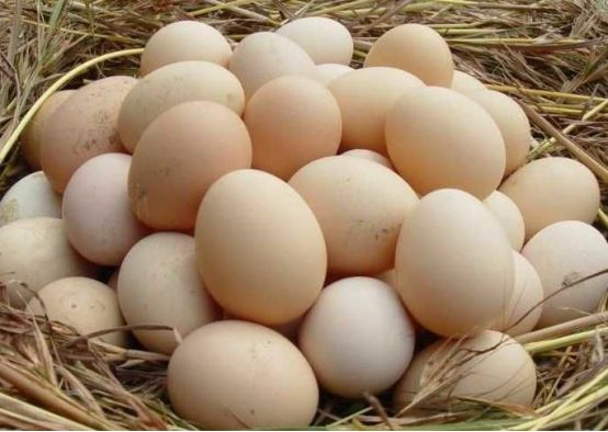 广西名特优农产品(广州)交易会_网上农产品_2019年南宁市粤桂扶贫协作消费扶贫网上农产品节