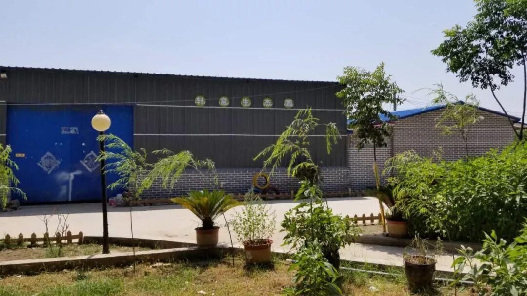 贫困地区特色农产品_张吴寨扶贫特产_悬河生态农产品专卖店