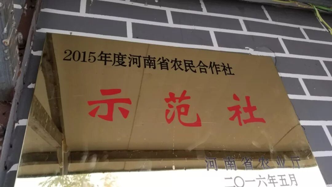 张吴寨扶贫特产_贫困地区特色农产品_悬河生态农产品专卖店
