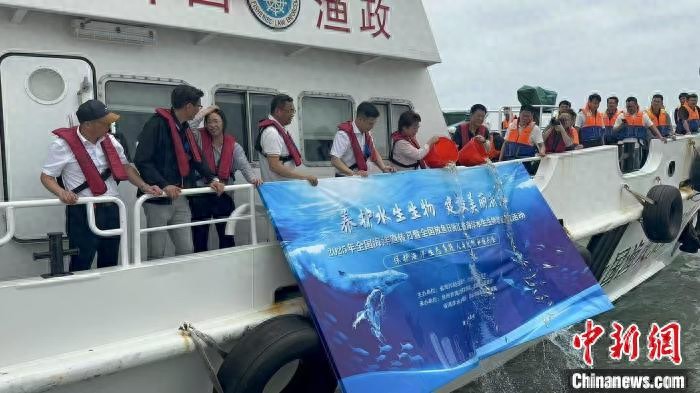 6月6日浙江举办增殖放流活动，计划放流超15亿单位苗种