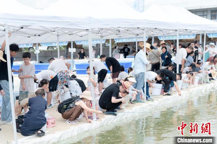 临海对虾开捕产业共富行动_浙江省渔业农产品_科技赋能渔业高质量发展