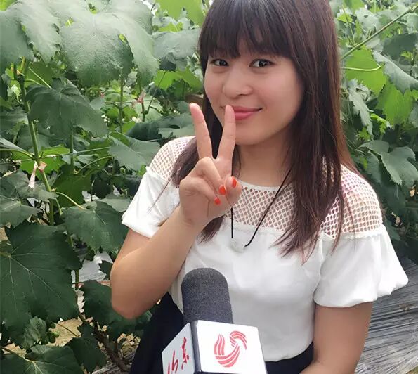 农村电商创业故事_农产品电子商务的优势_农产品电商销售案例