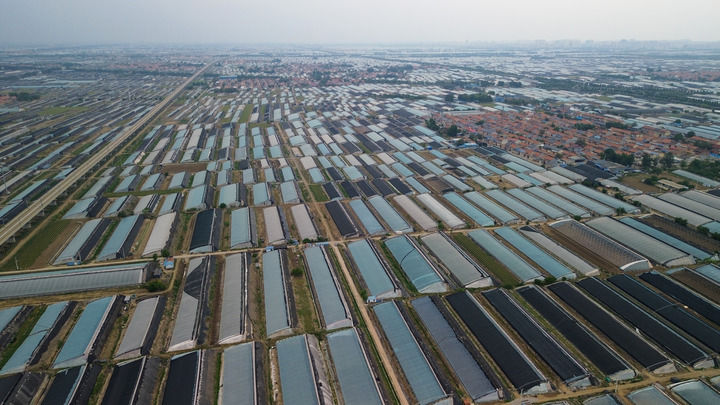 山东农产品批发市场_中国蔬菜之乡山东寿光_寿光冬暖式大棚蔬菜产业发展