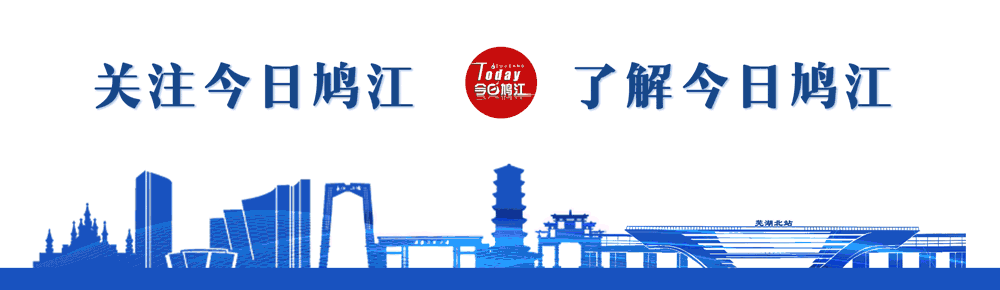 鸠江区农产品区域公用品牌LOGO投票_鸠江区农产品品牌发展投票_农产品地理标志保护