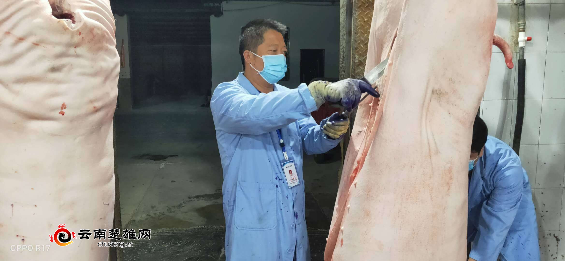 元谋农产品信息网_元谋县农产品质量安全_元谋县绿色食品牌建设
