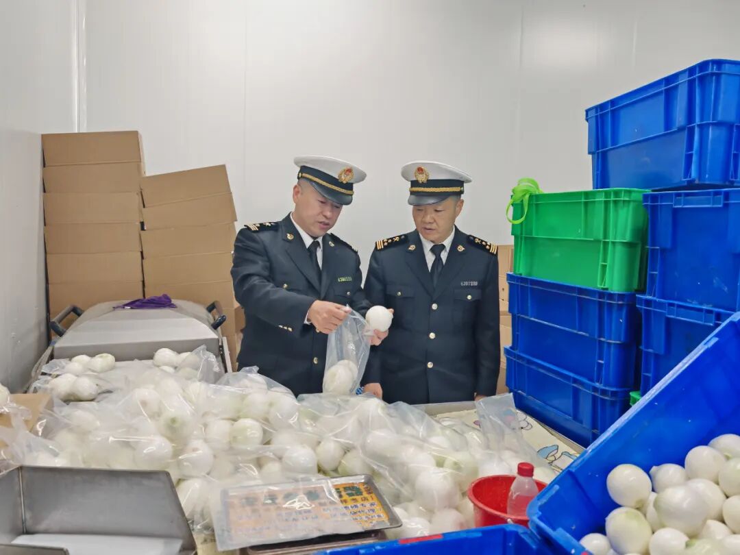 潍坊禽肉出口非洲_潍坊农产品出口_2025年山东省农产品出口额