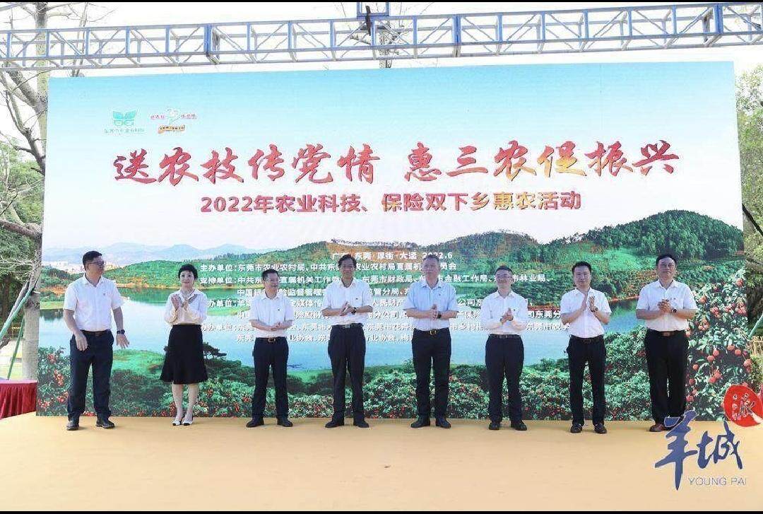 如何写农产品销售方案_东莞市媒体赋能百千万工程农产品市场体系建设行动方案_东莞荔枝出口方案