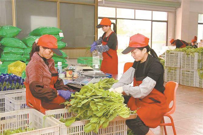 厦门市农产品质量安全追溯平台_厦门市食品安全追溯体系_农产品溯源 英译