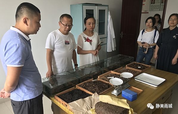 绿色农产品认证_南京无公害农产品检验员培训时间_农产品质量安全监管