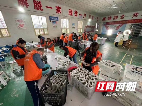 农产品有什么平台可以找到代理商_平台经济助力乡村振兴 芒果严选直播带货 惠民服务探索