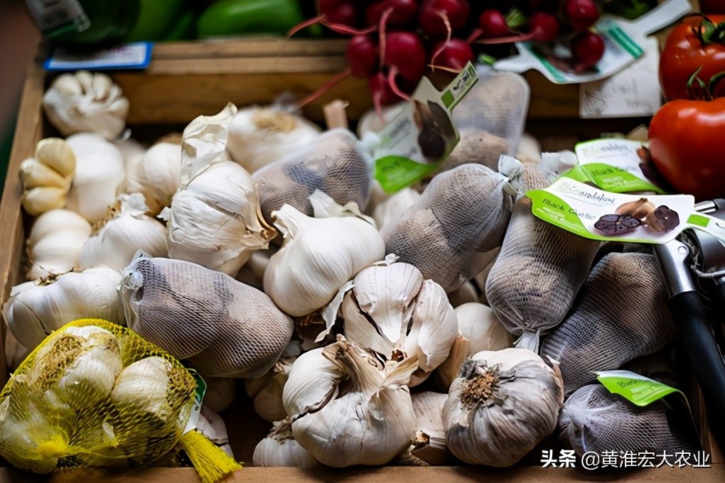 炒作农产品怎么赚钱_大蒜易被炒作的特点_大蒜价格波动原因