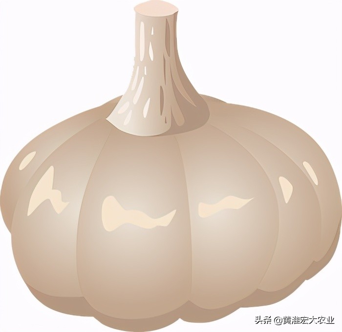 大蒜易被炒作的特点_炒作农产品怎么赚钱_大蒜价格波动原因