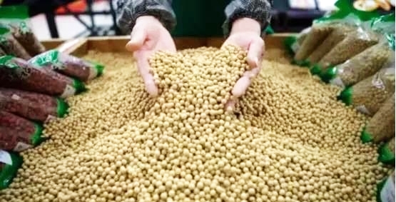 2025年滞销农产品_中美大豆贸易谈判_美国大豆滞销困境