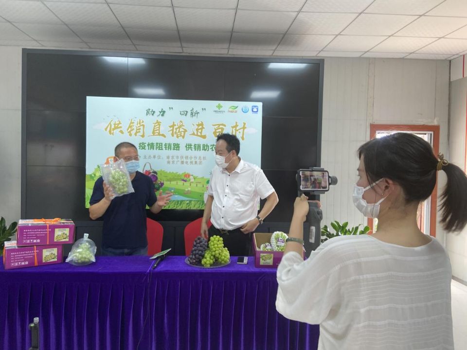 滞销农产品_南京溧水黄桃滞销解决方案_溧水供销社助农模式分析