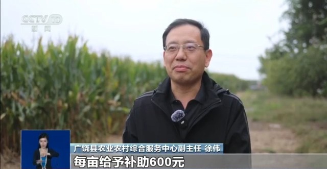 农产品 物流 模式_粮食应急保障体系_秋粮收获进度