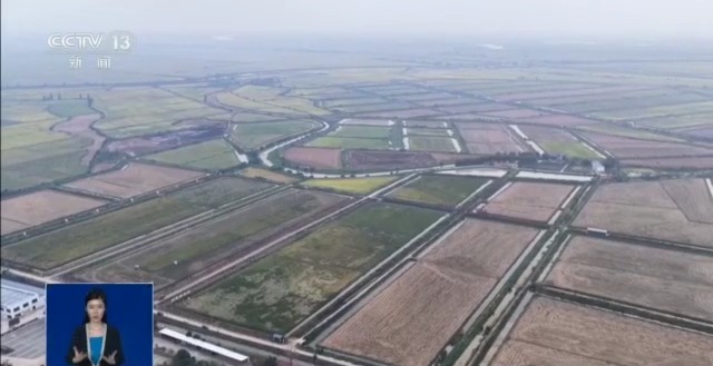 粮食应急保障体系_农产品 物流 模式_秋粮收获进度