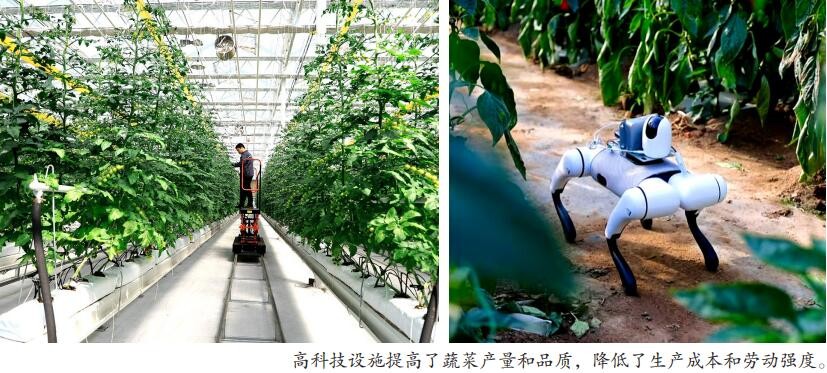 农产品 物流 模式_寿光智慧农业_寿光蔬菜航天育种