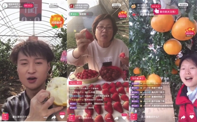 滞销农产品_疫情期间农产品滞销_果农直播推介滞销水果