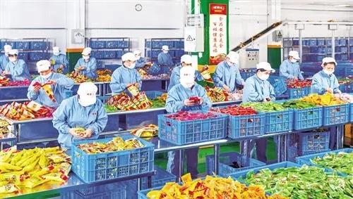 回农村创业正当时！这几种加工厂生意前景不错，速来参与