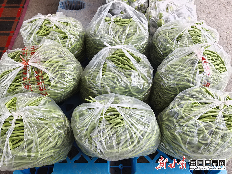 甘肃省农产品质量安全_榆中蔬菜品牌_兰州高原夏菜