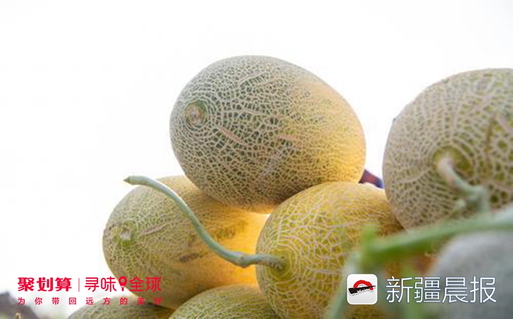新疆农产品信息网_寻味新疆多2小时多30%甜直播活动_新疆多2小时日照瓜果口感品质