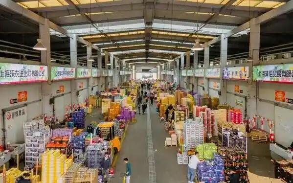 论我国农产品绿色营销_上海农产品电商发展现状_上海农产品电商模式分析