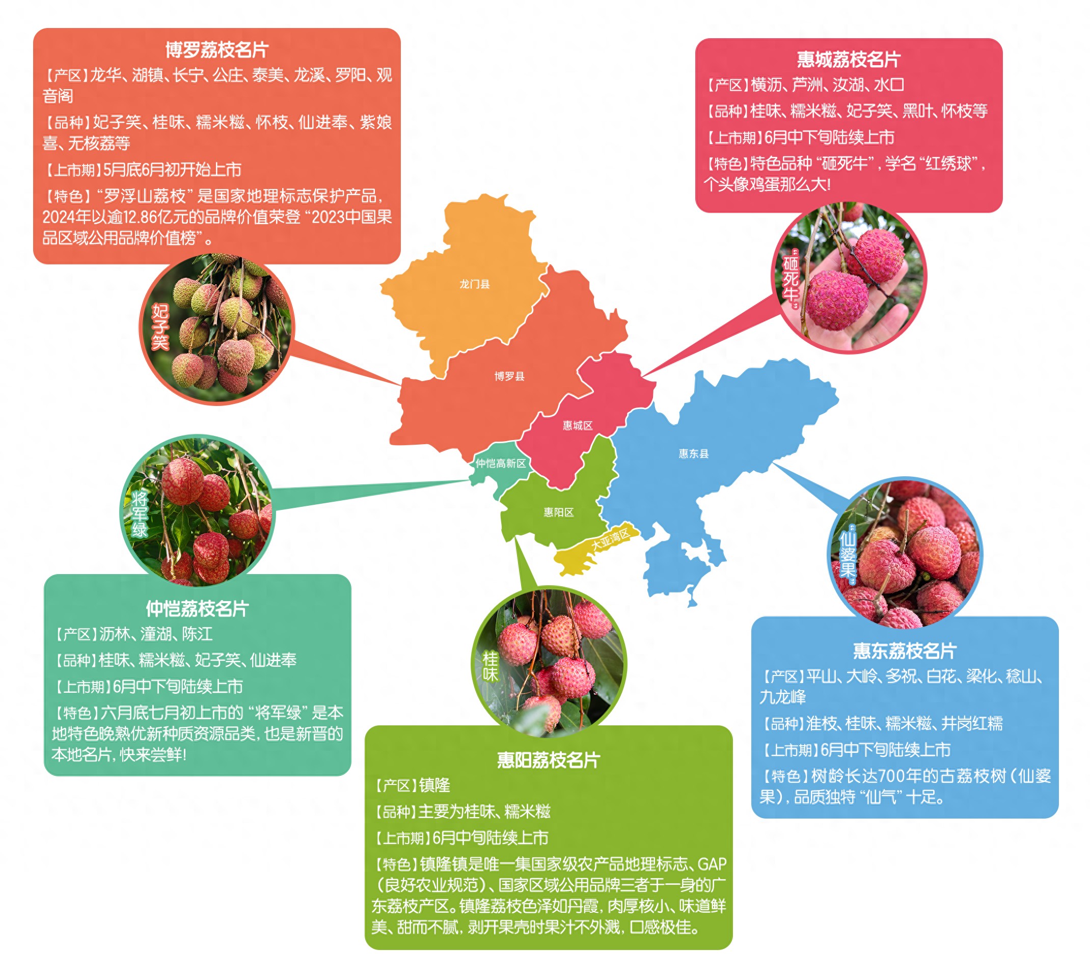 惠州荔枝纷纷上市！这份荔枝地图带你开启美荔之旅