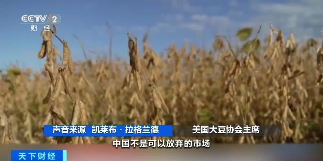 中美扩大农产品贸易达成共识_中美吉隆坡经贸磋商_农产品贸易网